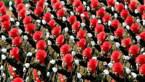 Indian_Army-Rajput_regiment.jpeg