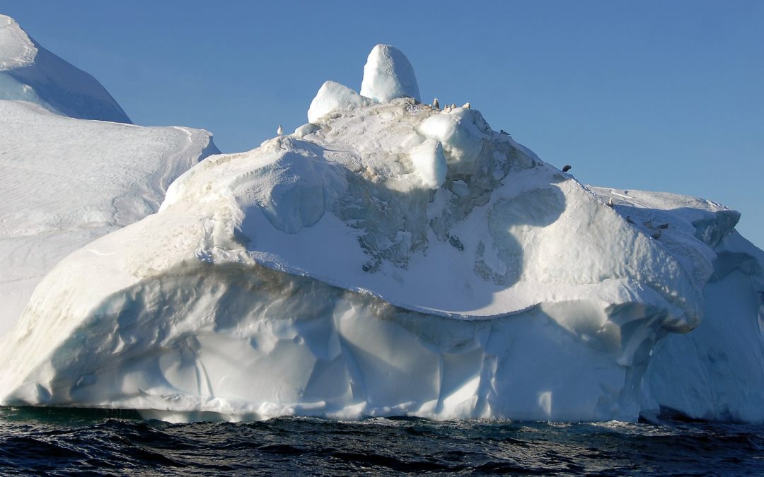 Trillion-tonne iceberg breaks off WA ice shelf.