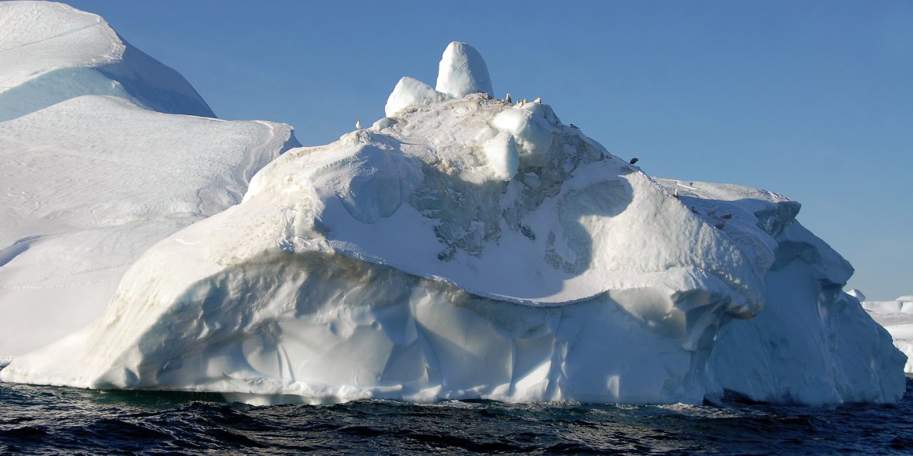 Trillion-tonne iceberg breaks off WA ice shelf.